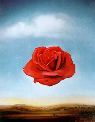 dali-the-meditative-rose